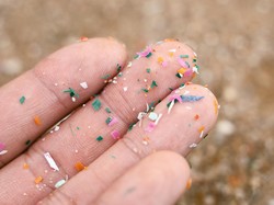 Ngeri! Mikroplastik Makin Banyak Ditemukan di Otak Manusia