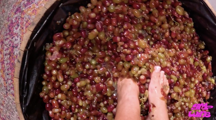 Model OnlyFans Jual Wine Rp 2 Juta dari Anggur yang Diinjak oleh Kakinya