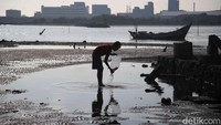 Pantai Marunda saat ini, memang tidak lagi seperti dulu, saat pantai itu bersih dan belum diganggu pengerukan pasir dan pengambilan batu-batu karang dengan brutal. Tetapi, kondisi Pantai Marunda tidak pula seburuk beberapa tahun terakhir, penuh dengan tumpukan sampah dan bau menyengat air laut yang tercemar.