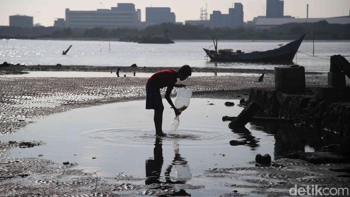 Pantai Marunda, Cilincing, Jakarta Utara diminati pengunjung pada momen libur sekolah kali ini. Biaya masuk terjangkau, pantai pun kian bersih.
