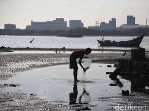5 Fakta Pantai Marunda yang Semakin Hari Kian Bersih