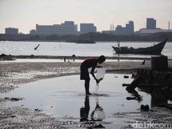 Berwisata di Pantai Marunda
