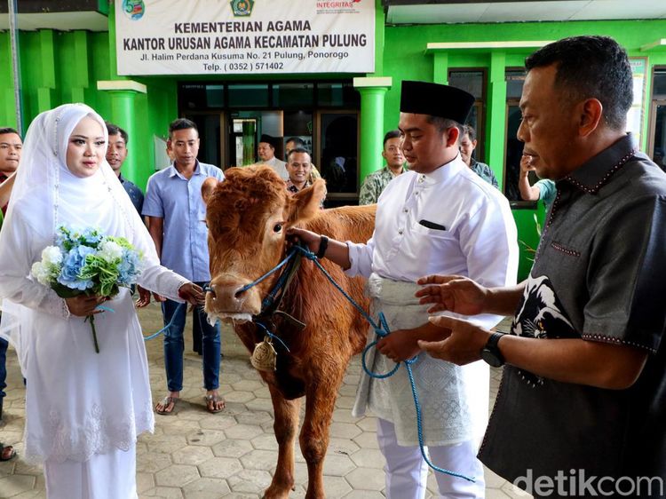 Potret Pasangan Pengantin di Ponorogo Menikah Dengan Mahar Sapi