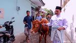 Potret Pasangan Pengantin di Ponorogo Menikah Dengan Mahar Sapi