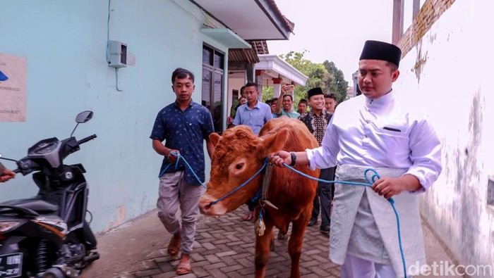 Pasangan pengantin Ponorogo menikah dengan mahar sapi