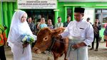 Potret Pasangan Pengantin di Ponorogo Menikah Dengan Mahar Sapi
