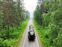 10 Negara Ini Memiliki Hutan Terluas di Dunia, Posisi Berapa Indonesia?