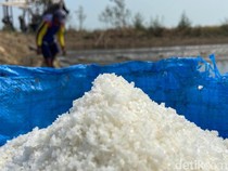 Hujan-Banjir Rob Melanda, Petani Garam di Cirebon Menjerit