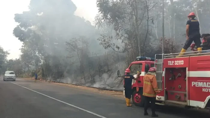 Pihak Damkar Lubuklinggau saat memadamkan kebakaran lahan.
