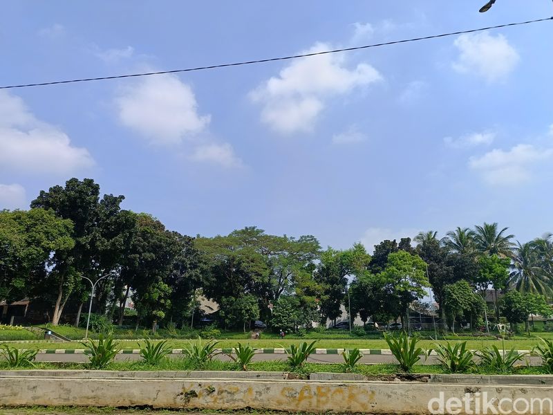 Review Realme 12 5G