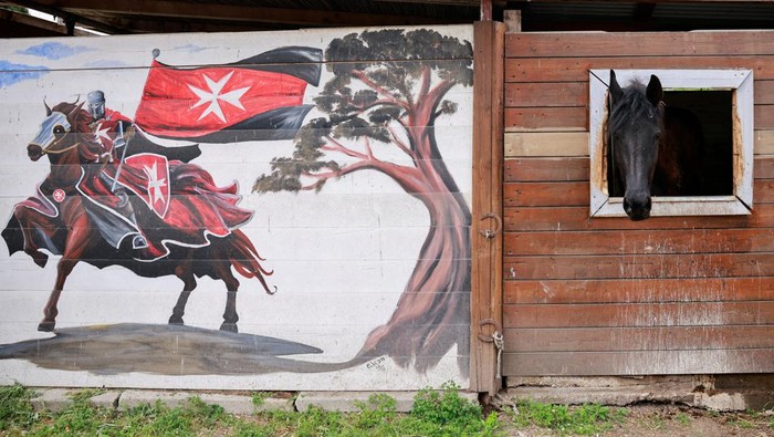 Matteo Santopadre, a former shooting champion who remained in a coma for months after a car accident, attends a hippotherapy session to regain his mobility at San Giovanni Battista Hospital, with his physiotherapist Antonio Spinelli and a horse groom in Rome, Italy February 9, 2024. REUTERS/Yara Nardi