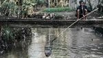 Sunyi Senyap di Kampung Zombie Jakarta