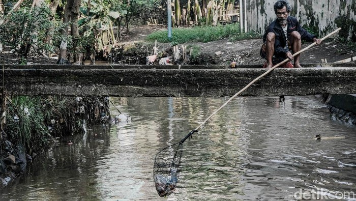 Sunyi Senyap di Kampung Zombie Jakarta Di tengah ramainya Jakarta, terdapat permukiman yang dijuluki 'Kampung Zombie'. Kampung ini nyaris tidak berpenghuni karena langganan banjir.