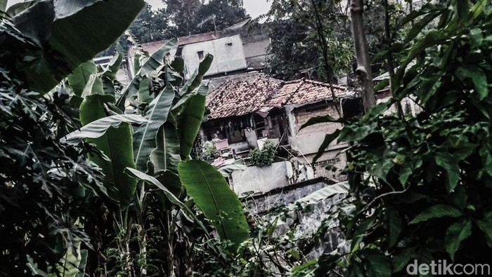 Sunyi Senyap di Kampung Zombie Jakarta Di tengah ramainya Jakarta, terdapat permukiman yang dijuluki 'Kampung Zombie'. Kampung ini nyaris tidak berpenghuni karena langganan banjir.