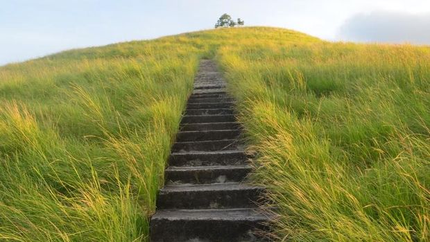 Tanjung Kajuwulu di Maumere, Nusa Tenggara Timur (NTT). (Tangakapan layar Google earth/direktur tani)