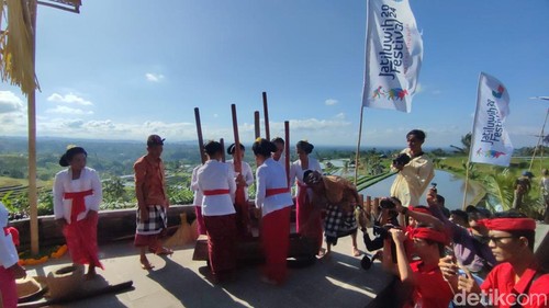 Atraksi tebuk lesung mengawali rangkaian Festival Jatiluwih 2024 di kawasan subak Desa Jatiluwih, Kecamatan Penebel, Tabanan, Bali, Sabtu (6/7/2024). (Foto: Ahmad Firizqi Irwan/detikBali)