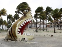 Detik-detik Badai Beryl Terjang Meksiko