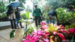 Hujan Tak Surutkan Semangat Warga Kunjungi Pameran Flona 2024
