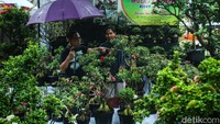 Pada pameran itu UMKM dari lima wilayah Jakarta turut ambil bagian.