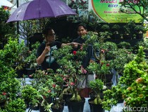 Hujan Tak Surutkan Semangat Warga Kunjungi Pameran Flona 2024