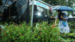 Hujan Tak Surutkan Semangat Warga Kunjungi Pameran Flona 2024