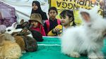 Hujan Tak Surutkan Semangat Warga Kunjungi Pameran Flona 2024