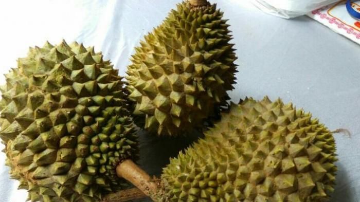 5 Jenis Durian yang Bentuknya Aneh Tapi Rasanya Nikmat