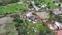 Selain merusak rumah, badai juga mengakibatkan pohon bertumbangan.  