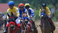 Lomba Pacu Kuda Wali Kota Bukittinggi Cup diikuti puluhan ekor kuda dengan 12 pertandingan.  