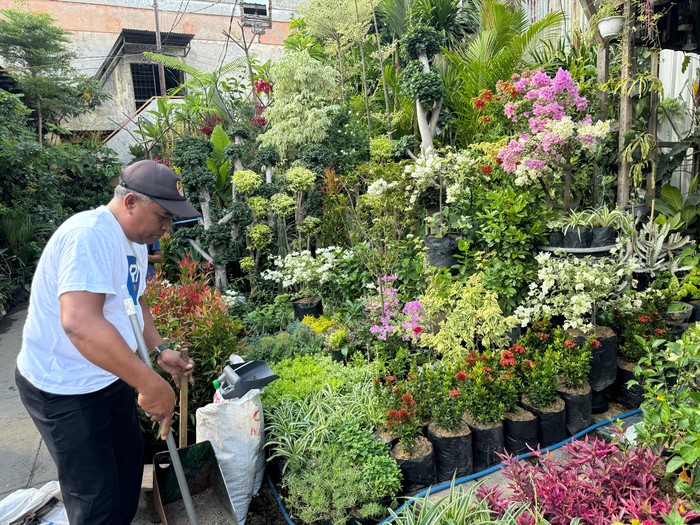 Penjual tanaman bunga
