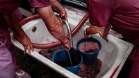 Lebih dari 40 ribu liter wine digunakan saat festival berlangsung.  (Reuters/Marta Montana Gomez)