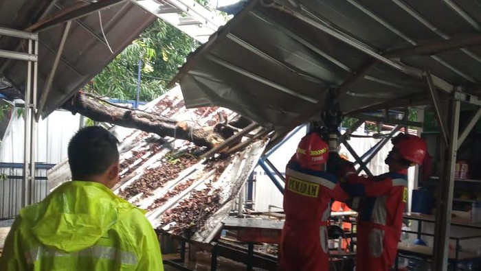 Pohon tumbang timpa kantin proyek di Jakbar