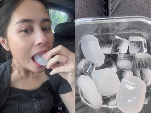 Buah Lontar Jadi Kunci Sukses Prilly Pangkas BB 12 Kg, Sedahsyat Ini Efeknya