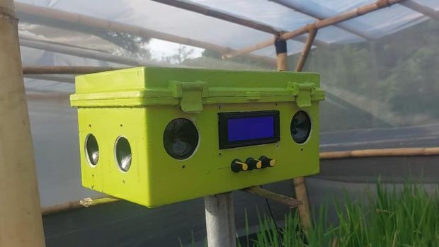 SmartRUF-D atau Smart Rice Urban Farming Device