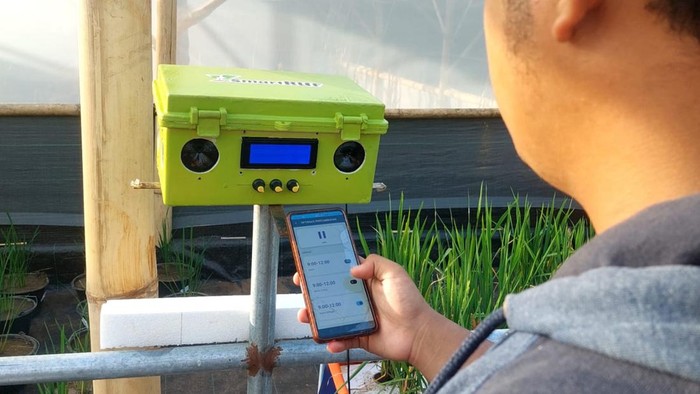 SmartRUF-D atau Smart Rice Urban Farming Device