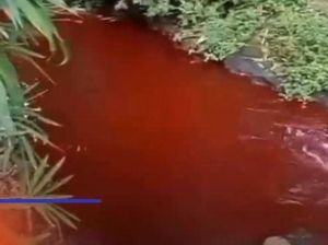 Heboh Air Sungai di Tumpang Malang Mendadak Berwarna Merah