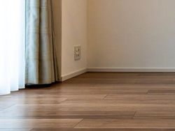 Tingkah Lucu dan Menggemaskan Pemenang Comedy Pet Photo Awards