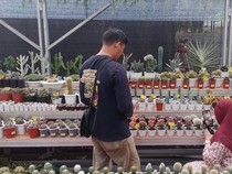 Festival Flona 2024, Rekomendasi Tempat Terbaik Pecinta Tanaman