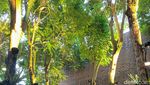 Estetik! Kafe Ini Tawarkan Nuansa Teduh dengan Desain Batu Bata yang Apik