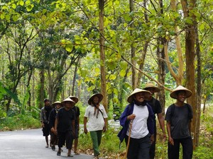 Laku Jejeg, Sedulur Sikep Pati-Kudus Jalan Kaki ke Ploso Kediren Blora
