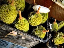 Jualan 400 Kg Durian di Sekolah hingga Tempat Makan Hidden Gem di Tebet