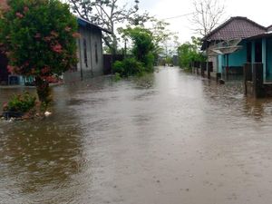 Banjir Rendam 508 Rumah di Buru Maluku, 210 Kepala Keluarga Mengungsi
