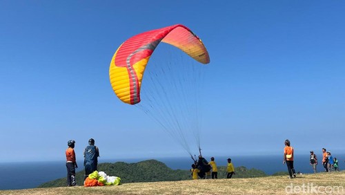 Sejumlah atlet paralayang mengikuti Asian League Paragliding Accuracy 2024 di Sky Lancing, Lombok Tengah. (Foto: Edi Suryansyah/detikBali)