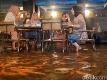 Resto Unik di Klaten! Pengunjung Bisa Makan Sambil Berinteraksi dengan Ikan Koi