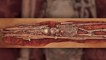 Anak penyandang disabilitas dikuburkan seperti bangsawan: Para pemburu-pengumpul menguburkan beberapa orang, termasuk dua remaja laki-laki, di situs bernama Sunghir di sebelah timur Moskow, 34.000 tahun lalu. Ketika digali, ditemukan anak laki-laki tersebut, yang meninggal di usia sekitar 10 dan 12 tahun, dan keduanya menunjukkan tanda cacat, dikuburkan bersama dengan 10.000 manik-manik gading raksasa, lebih dari 20 ikat lengan, sekitar 300 gigi rubah, dan lainnya. Tulang betis manusia diletakkan di dada tiap anak. Di antara orang dewasa, beberapa kuburan tak disertai harta karun, dan yang lainnya hanya memiliki sedikit. Foto: Live Science