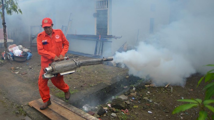 Warga menutup hidung mereka saat pengasapan (fogging) nyamuk Demam Berdarah Dengue (DBD) di Kayu Kalek Padang, Sumatera Barat, Senin (8/7/2024). Dinas Kesehatan Kota Padang melakukan pengasapan berdasarkan laporan kasus warga yang terkena DBD dalam rangka memutus penularan penyakit tersebut. ANTARA FOTO/Iggoy el Fitra/rwa.