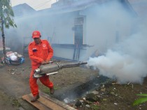 Fogging Cegah Penularan DBD di Padang
