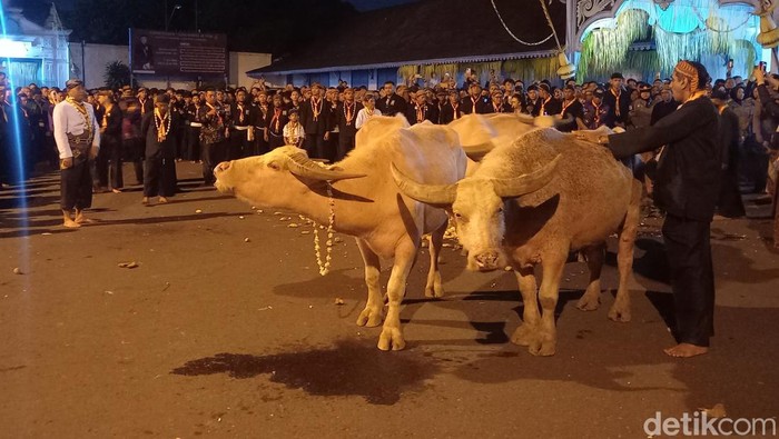 Kirab malam 1 suro di Kamandungan Keraton Kasunanan Surakarta, Senin (7/7/2024).