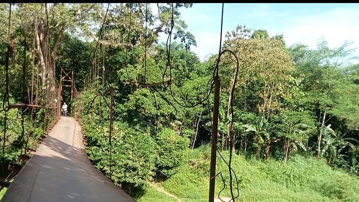 Kondisi jembatan gantung di Kampung Nangklak, Desa Margatirta, Kecamatan Cimarga, Lebak, Banten, miring dan nyaris roboh. (Dok istimewa)