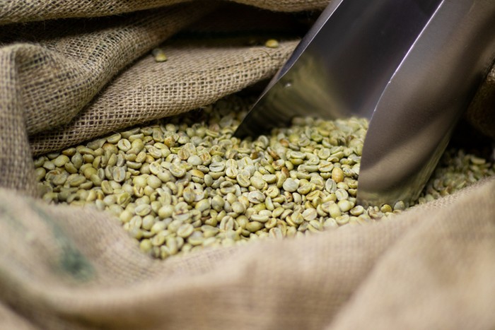 Apa Benar Kopi Green Bean Ampuh Turunkan BB? Ini Faktanya!